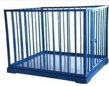 Ӱ